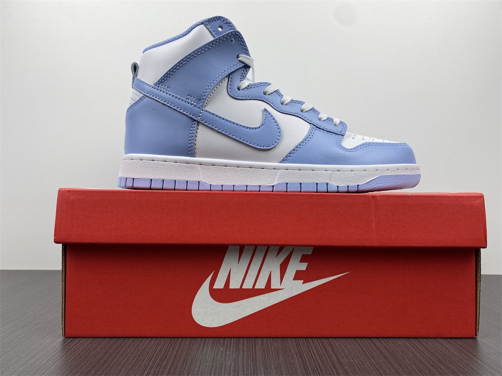 Nike Dunk High  DD1869-107
